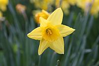 Dachau Palace February 2009